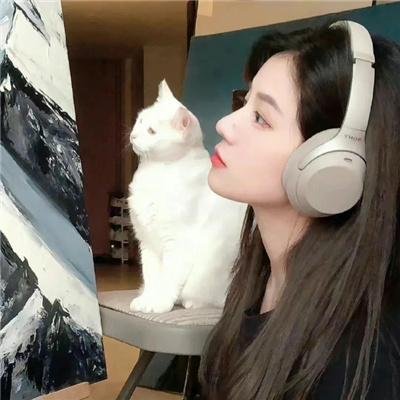妈咪方程式
